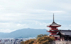 8002ac6d-9a20-4d0a-86dc-935a4ca097b1