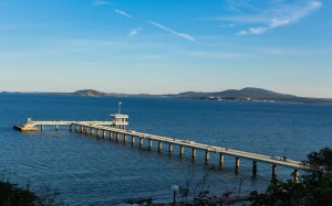 7c4847a6-789b-4a67-849d-c555d88afba9