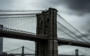 6496f8db-f849-4afb-ad92-9bafc881343a