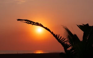 1e364bef-bad2-4308-98c1-dc018358f58e