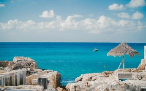 30562bee-cf87-41f4-843b-4617368bf5af