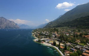 8691dcb5-f5bc-410e-bdde-b3f9f03f596c