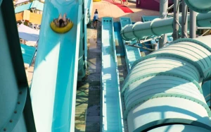 a201f721-984c-4657-855c-b5d6e618daca