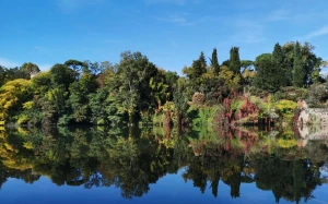 6e3af37a-b9a8-43c7-8bb0-908d71f3de4a