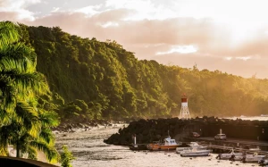 8aafe980-a097-4e0a-8b4b-881e9c5cdc81