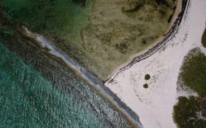 dd8d12d7-9190-42ee-88c6-1f00801aaf34