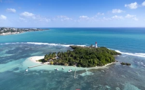 8eb0a947-f6d2-4a14-8192-9db8041f634d