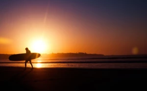 24a141dc-cfd3-42dc-b8fc-95377e86de84