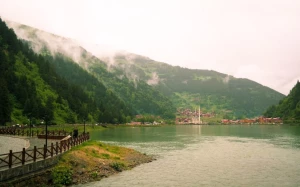 fd0c3115-046b-45ee-8407-a9b19761db46