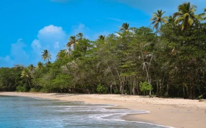 56748d82-6ec8-4a5b-8ae9-1e2a18029bfd