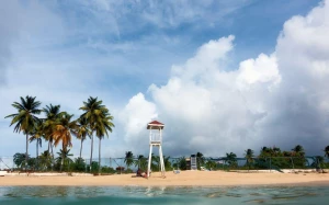 9aa6aa48-b955-4a90-ae5d-272e626c3d5d