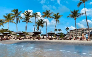 db0e9b8e-c6e3-4db2-8ffb-7c5c9074f0b2