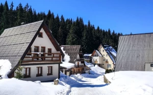 613a49fd-09a4-4d27-9bf1-4b535cae241a