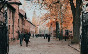 485fb9ed-fa03-44fc-bdd5-831b933ce2b6