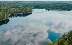 e33372e8-7fac-4610-a395-da9ac5b9a71a