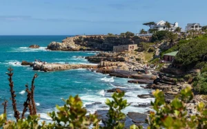 13115d62-2869-439e-9875-0481e9194c34