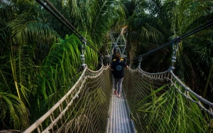 183e00f2-c261-4a1a-a712-9c6fc7372e09