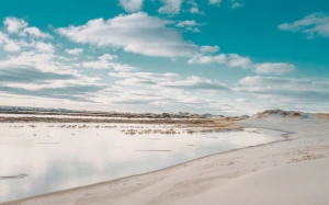 49a33e2f-20b0-40c2-8ef8-6f580bcbc900