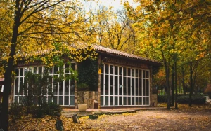 bd94ae9b-4254-4e89-911e-052671c9ec0d