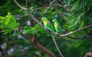 dea514cc-b209-45e2-92ee-cbfa233e14ce