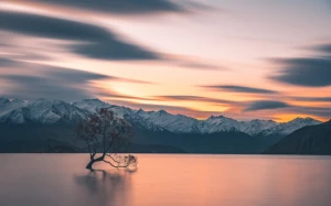 e30d497f-6bb8-4bc5-b42c-1242d88649e0