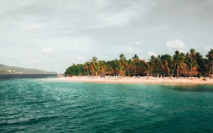 50c27d9a-aa3a-4a70-b7fa-6f76d71688db