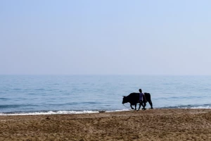 13e353ef-65b7-48d1-aa0e-485cabd78d21