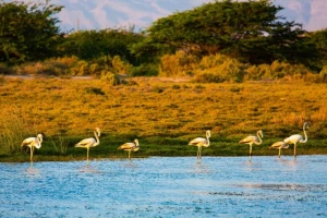 ec059bb0-223c-4210-87e1-7957143bf58f