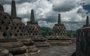 d2a43db3-6528-4f73-90df-366c3625add5