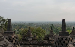 405dd06e-7fd4-4461-9d7d-072a42ffef47