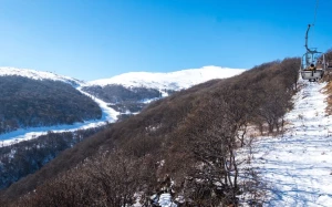 20be2229-eb0e-4f32-9065-636b4ed00ba9