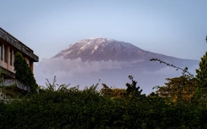 4496f873-d7ce-429e-b883-5e40d5e38a5c