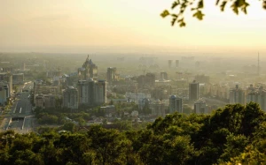 714e9d3d-657e-41d3-b067-097ebb1d0d33