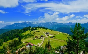 21ddf1ac-99fe-43db-8a9e-e2028187f764