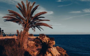 9addc265-ce9c-459c-be41-0491ec40d876