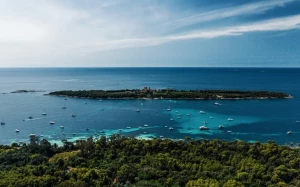 01fb2431-2028-442f-863a-7f03af8d5914