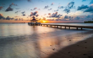 94906150-6884-4e48-ab93-beea56e025d6