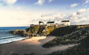 b5c98ad5-c6e4-421a-bf55-44bc8b1c8039