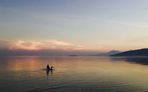 b2248f13-5428-4db5-ab24-64cd8c59dba8