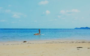 b4490fdc-24c3-4382-80ac-d71f87bc992d