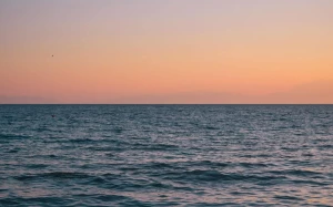 c29d4670-e2f5-4c24-b16d-975253d15b0d