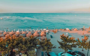 14791256-0e62-4e05-a19c-3a0e3836ed4e