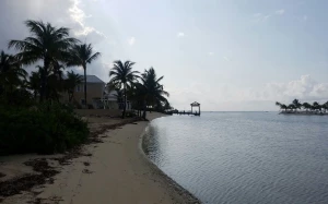 f52559e2-5edc-43ab-96a2-f251519c5a05