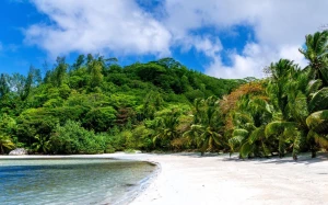 9ac71d6c-2a11-4283-b3e8-69b92dfa1111