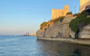 ee391817-274e-4e5d-9f87-adb1acf6999e