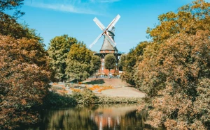 9cba4b99-29df-49c6-9642-524b35d9e982