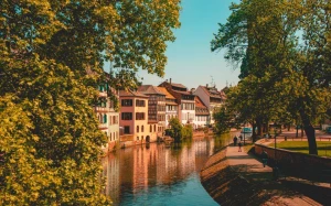 5d8b6a8c-6da4-459e-b005-c33678515571