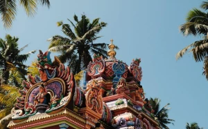 a113df23-0338-4ac1-b1a6-b796322aa519