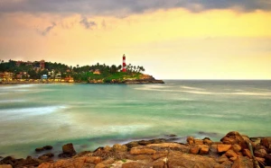 bf4a2288-0084-47d6-93c4-a8485c04db3a