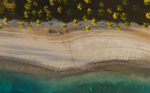 2c76f2ef-ec44-40b6-9a83-e1bb9e51ea5c